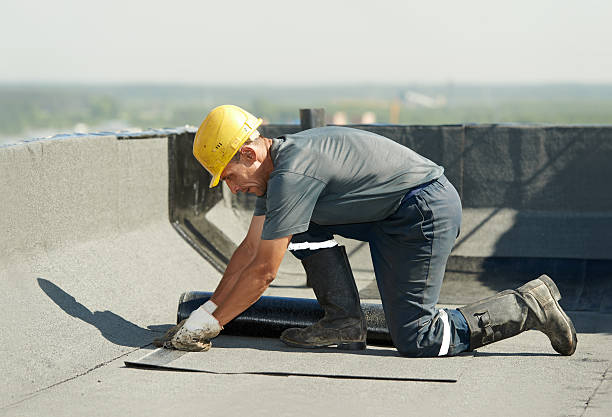 Best Residential Insulation in Prosperity, SC